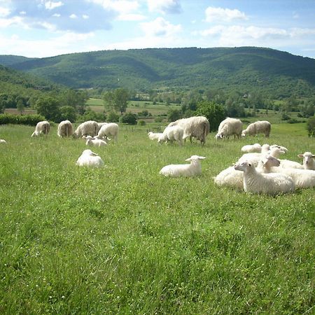 Agriturismo Villa Martis Пассиньяно-суль-Тразимено Экстерьер фото